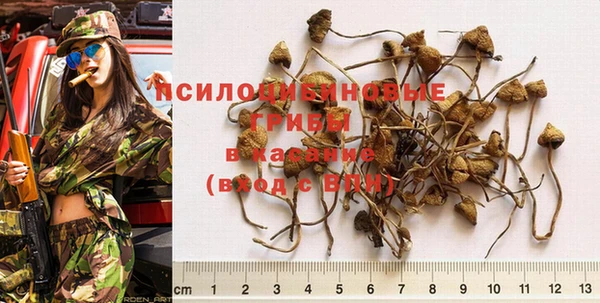 кокс Абинск