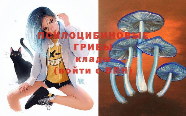 spice Всеволожск